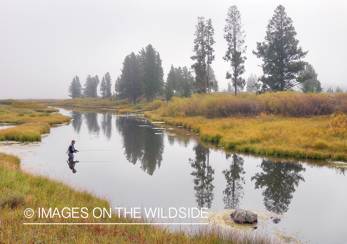 Flyfishing in fog on Maple Creek, MT.