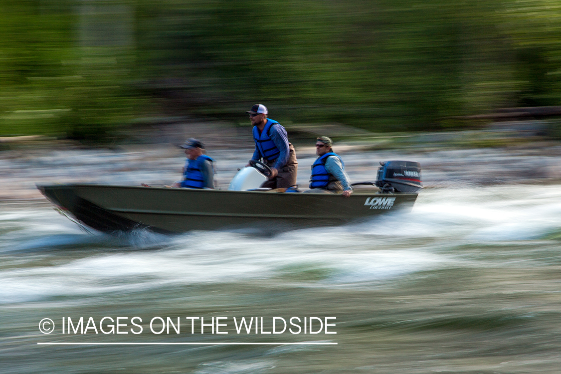 Flyfishermen motoring up stream in boat.