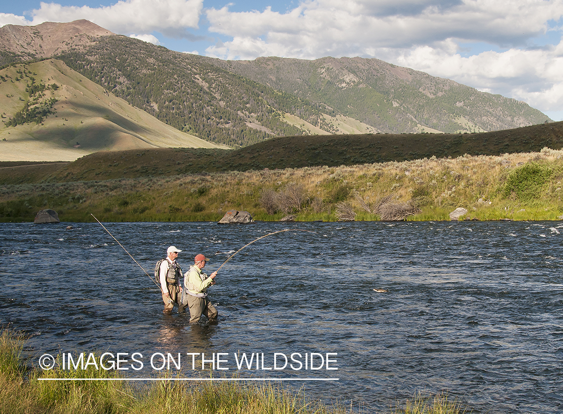 Flyfisherman on the Madison River, Montana.