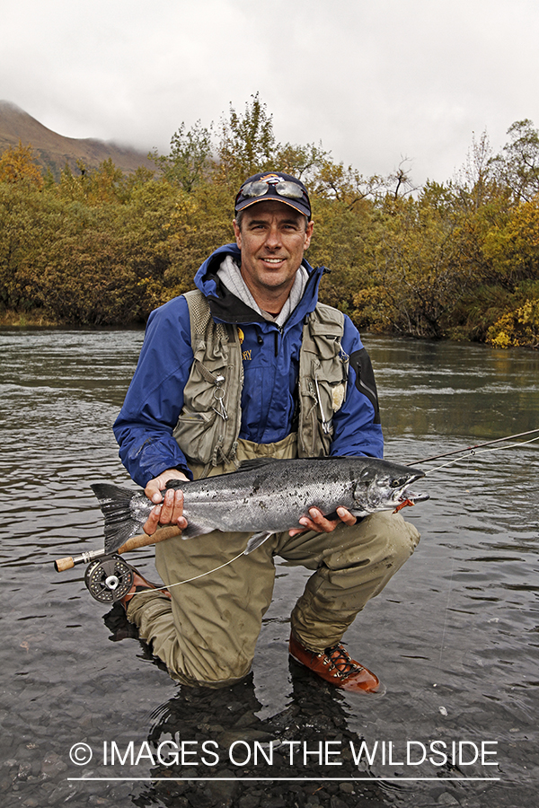 Flyfisherman with Silver Salmon, in Alaska.