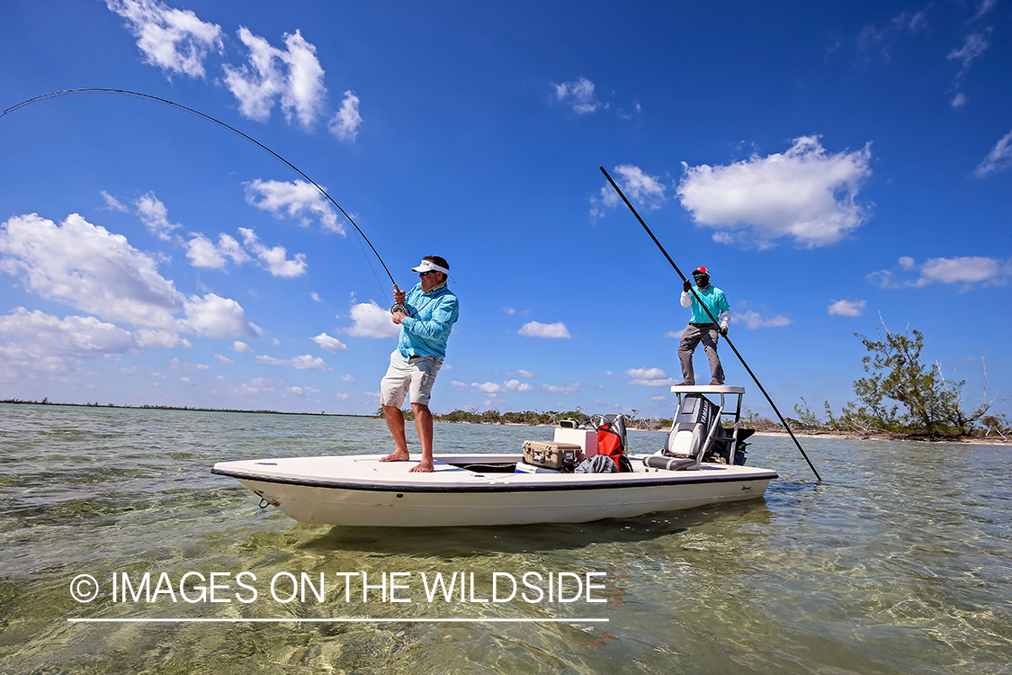 Flyfisherman fighting bonefish.