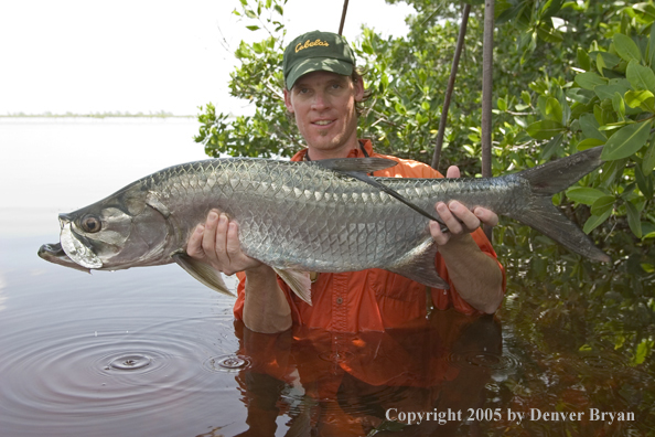 Flyfisherman w/tarpon 