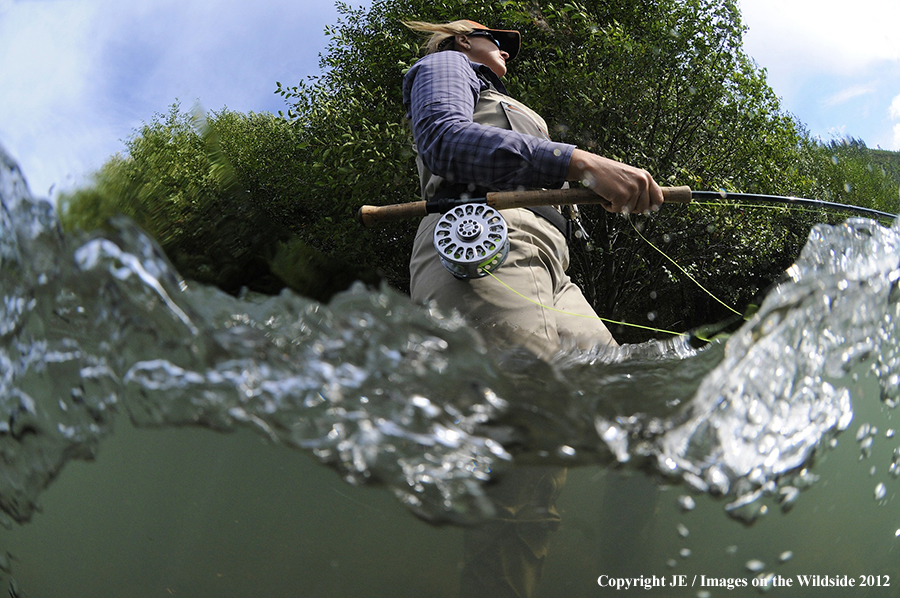 Flyfisher on river.