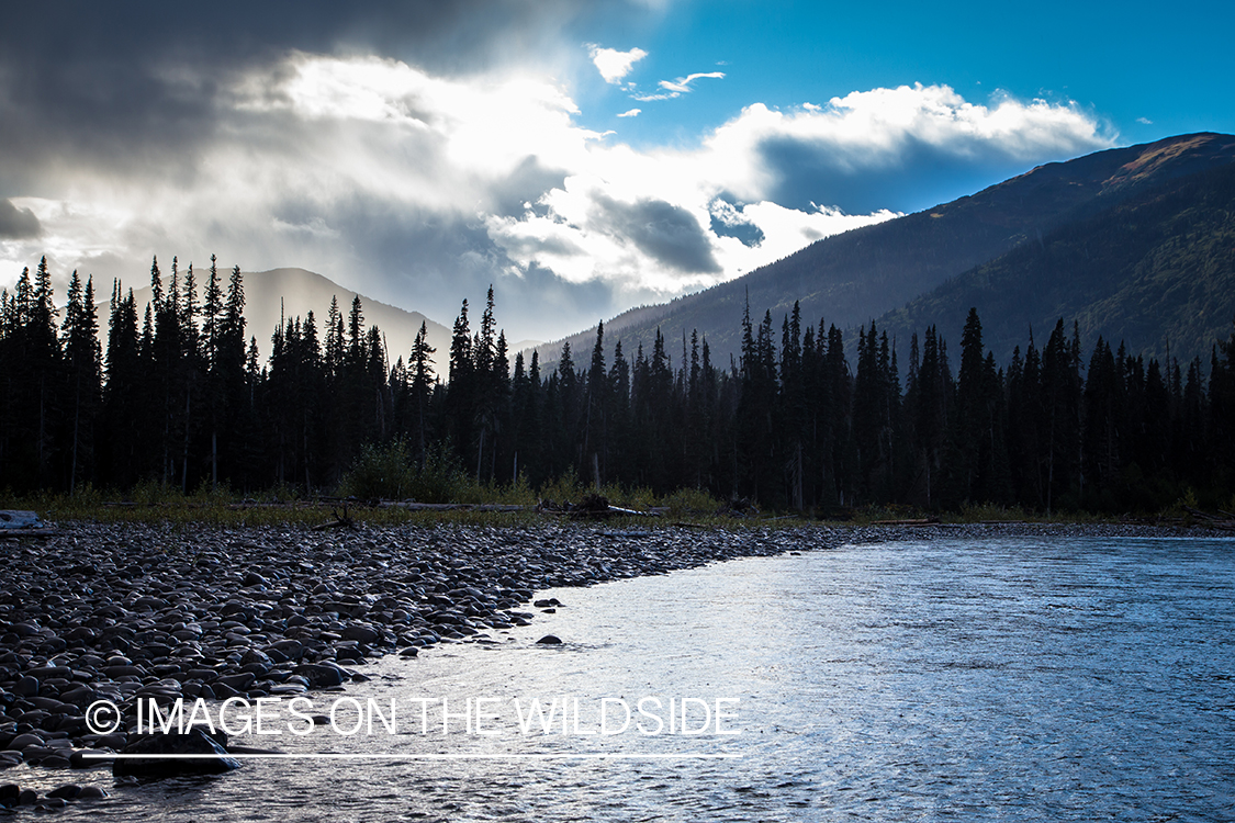 Flyfishing for steelhead on Nass River, British Columbia.