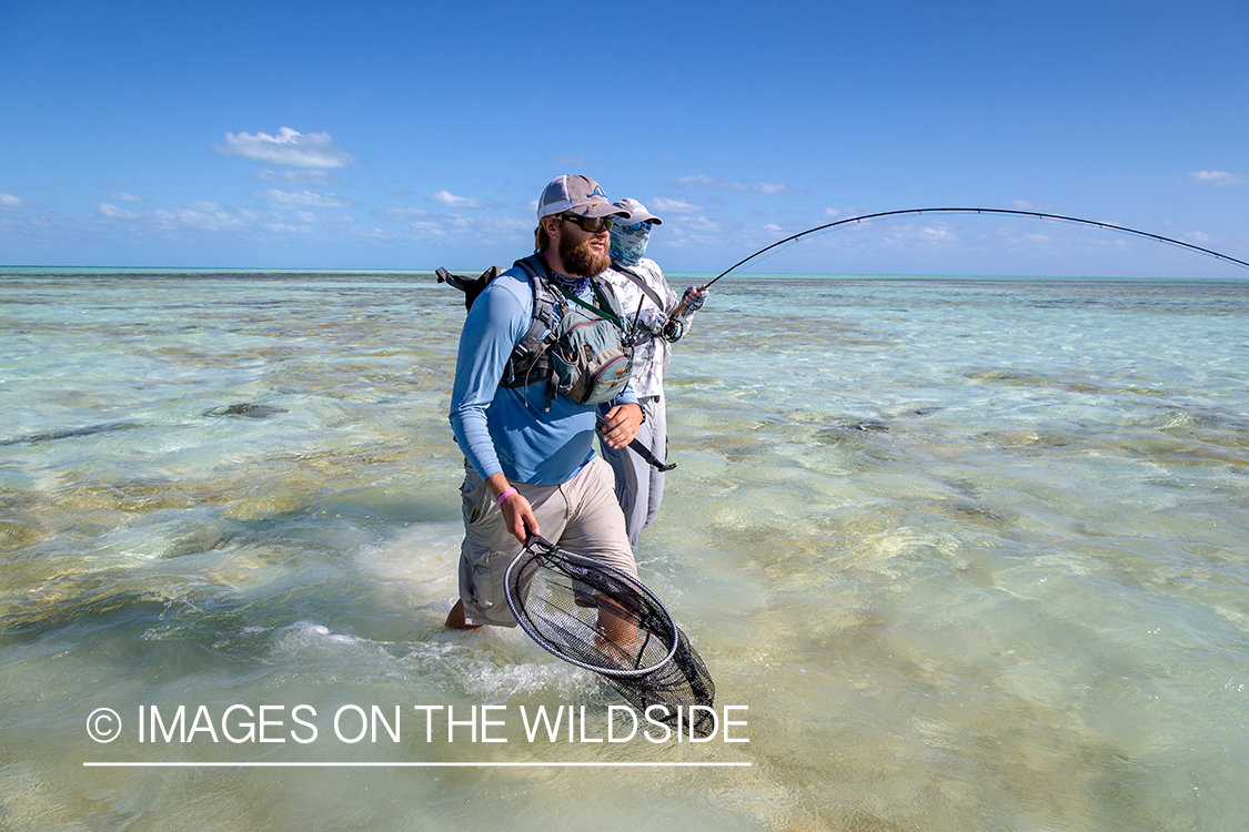 Flyfisherman on St. Brandon's Atoll flats, Indian Ocean.