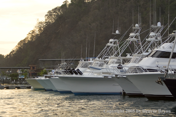 Deep sea fishing charter boats in marina.