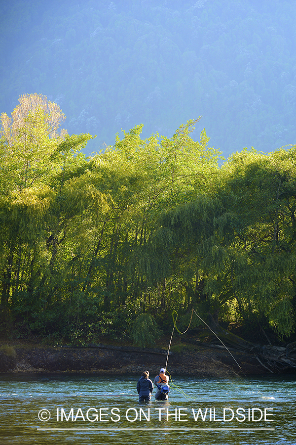 Flyfishermen on river in Chile.
