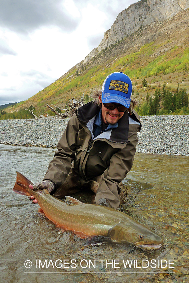 Flyfisherman with bull trout.