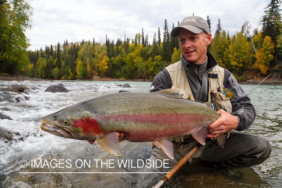 Flyfisherman with steelhead.