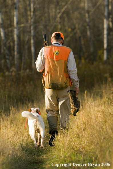 Upland bird hunter in field with dog.