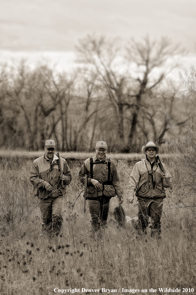 Upland hunters in field with bagged ring-necked pheasant. (Original image #11006-064.06D)