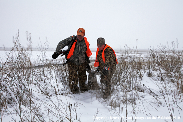 Father and son dragging son's downed white-tail buck though snow