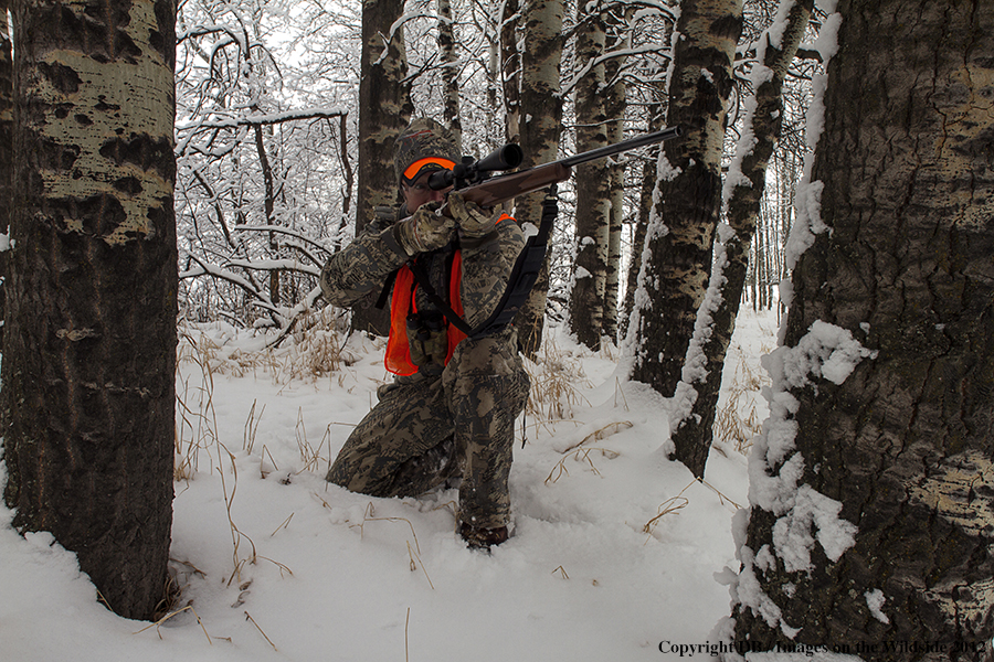 Hunter in field.