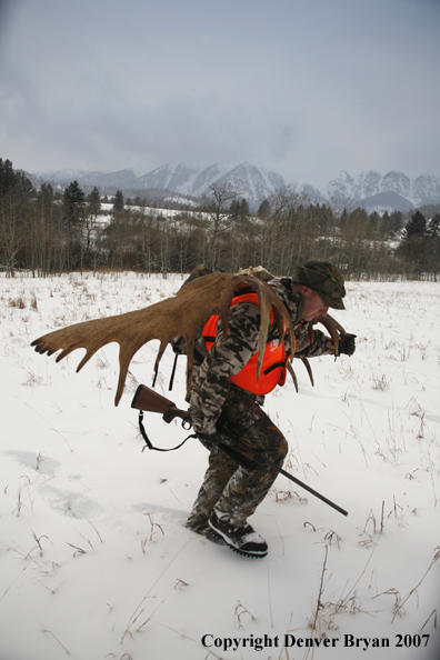 Moose hunter in field