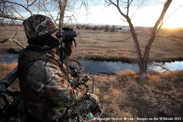 Bowhunter scouting from tree stand. 