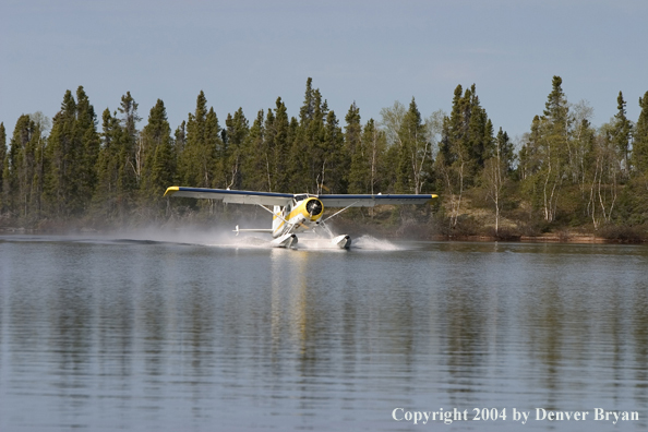 Float plane landing on the lake.  Saskatchewan.