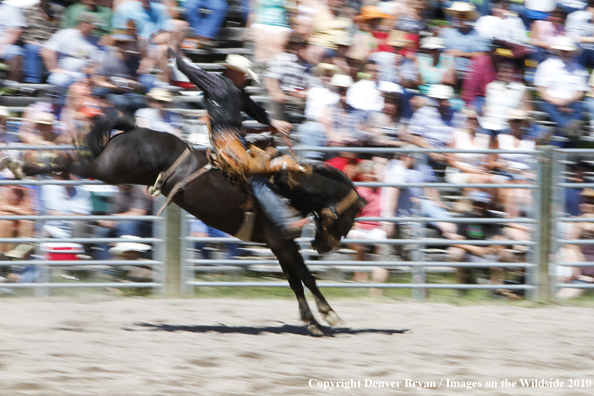 Augusta Rodeo