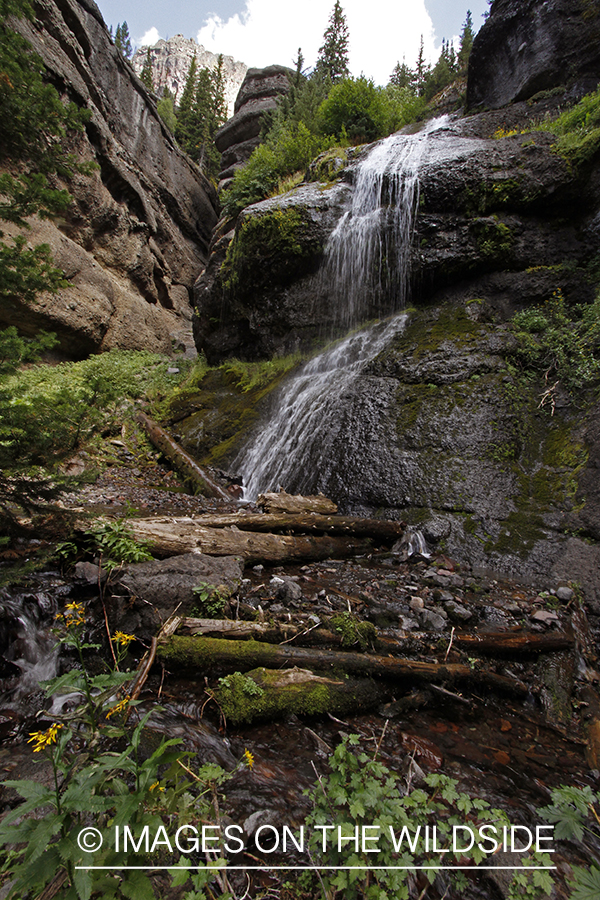 Waterfall in the Rocky Mountains.