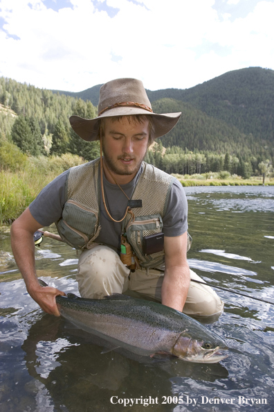 Flyfisherman with Rainbow Trout, Rocky Mountains