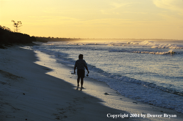 Saltwater flyfisherman walking along surf.