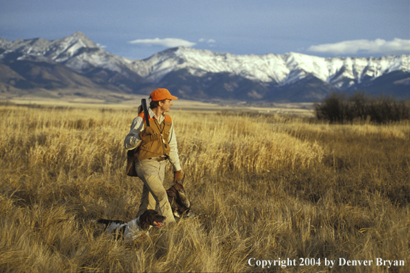 Upland bird hunter with English Springer Spaniel and pheasants.