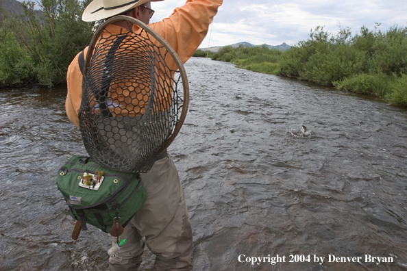 Flyfisherman playing fish.