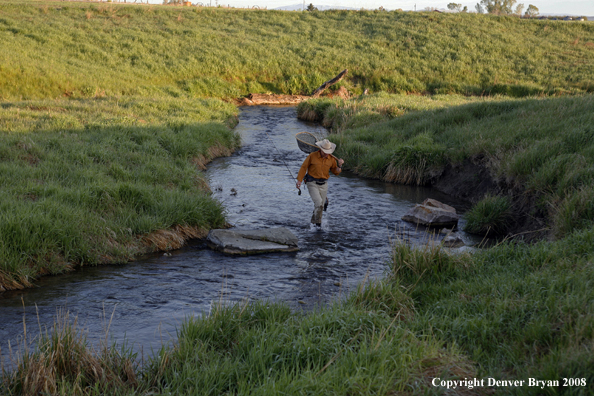 Flyfisherman fishing warm springs