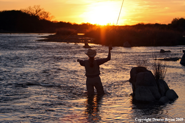 Woman flyfishing