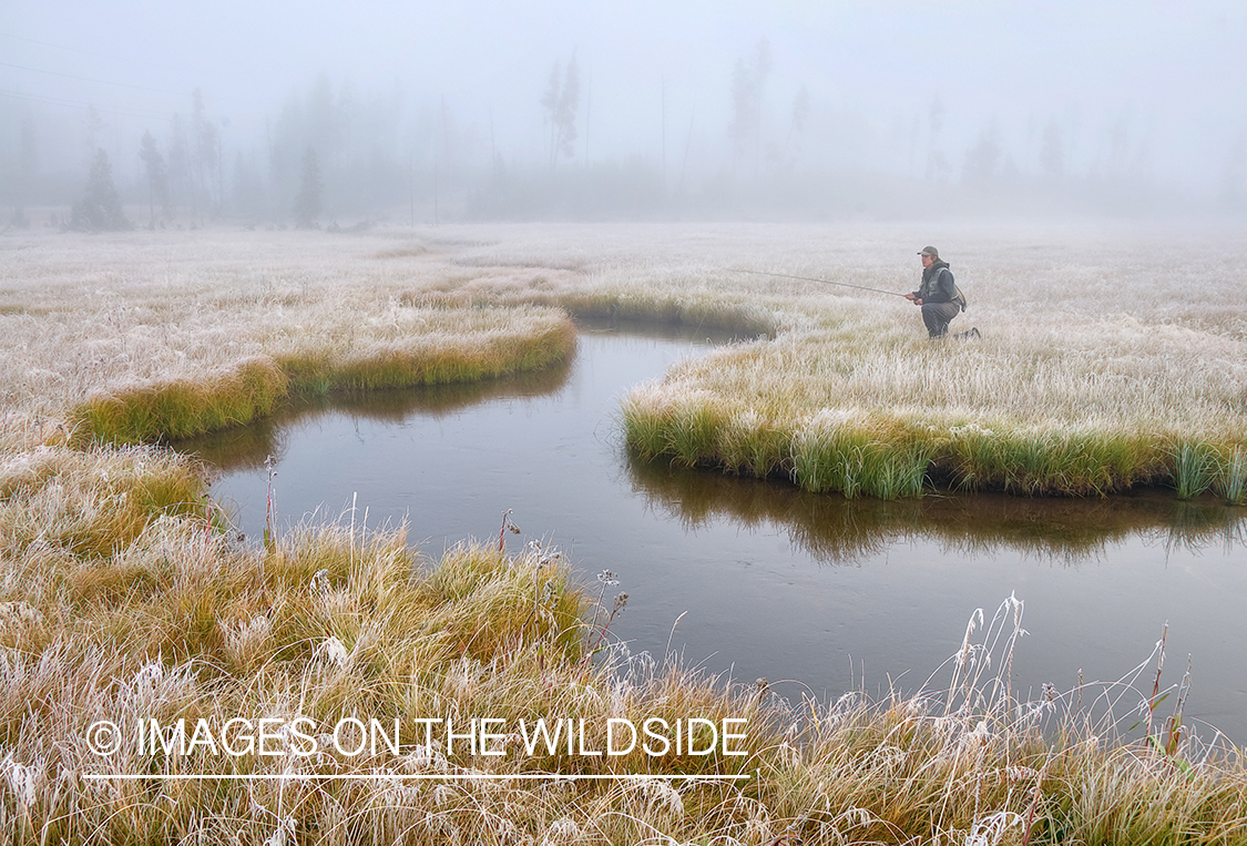 Flyfishing in fog on a small stream, Yellowstone National Park.