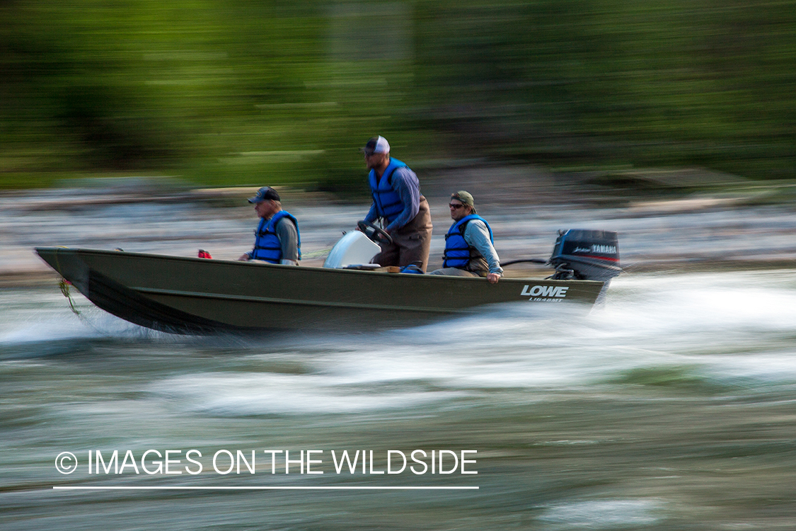 Flyfishermen motoring up stream in boat.