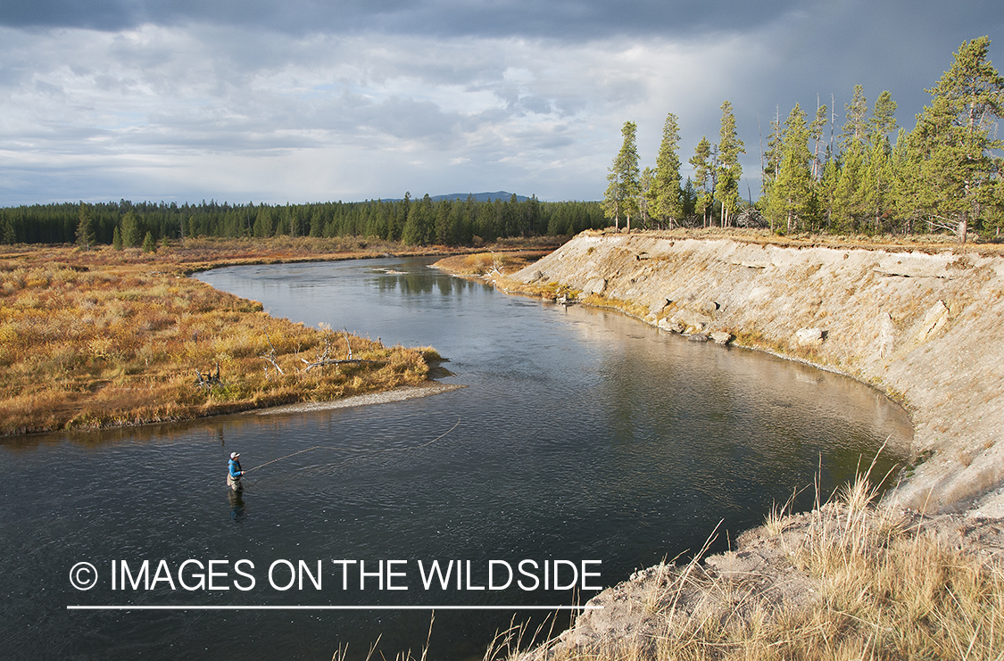 Flyfisherman on the Madison River, Montana.