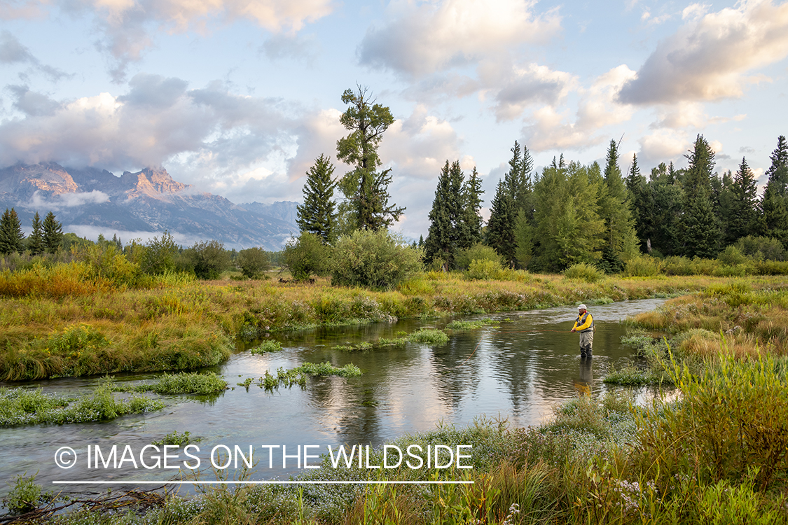 Flyfishing Blacktail Ponds, Wyoming.