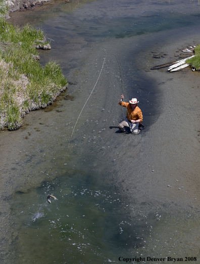 Flyfisherman fishing warm springs