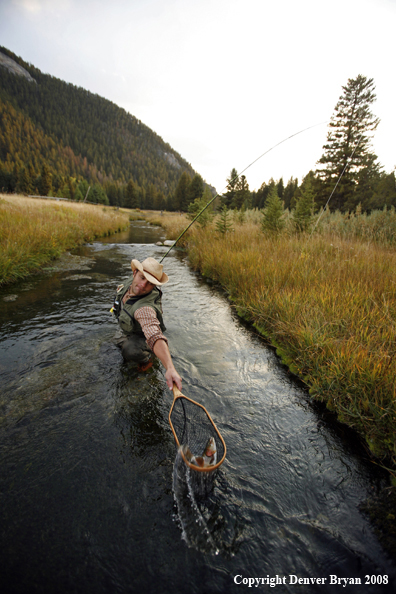 Flyfisherman Netting Rainbow Trout