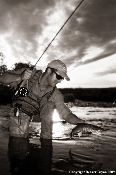 Flyfisherman with Brown Trout (PS/SF/ST)