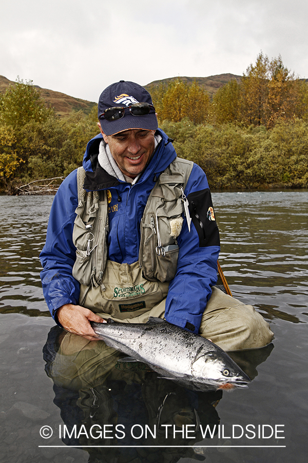 Flyfisherman with Silver Salmon, in Alaska.