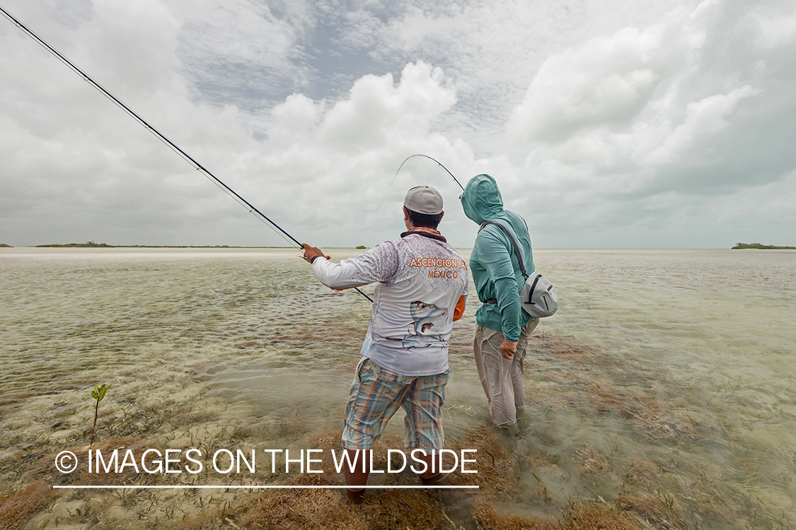 Flyfisherman and guide flyfishing for Bonefish and Permit.