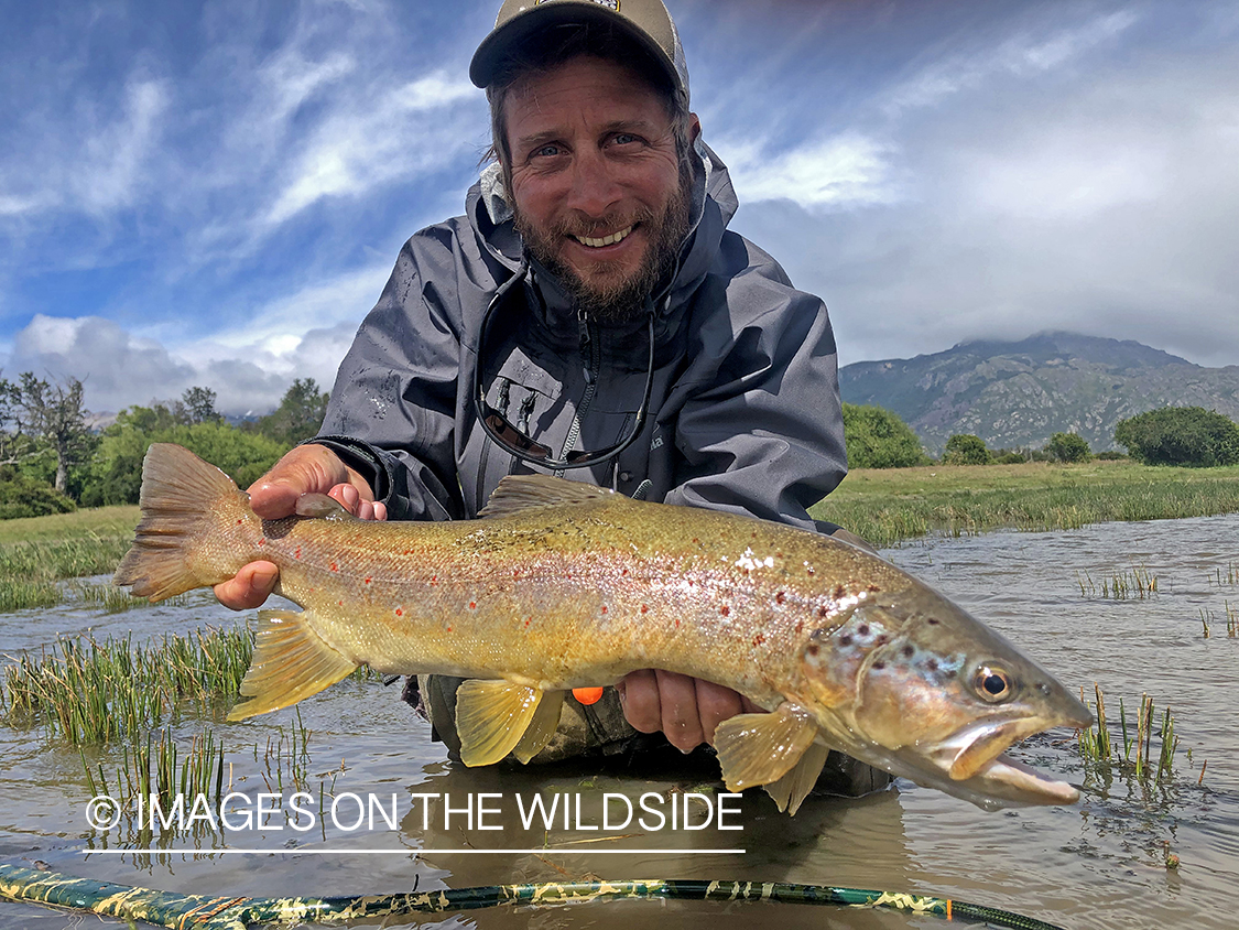 Flyfisherman releasing brown trout.