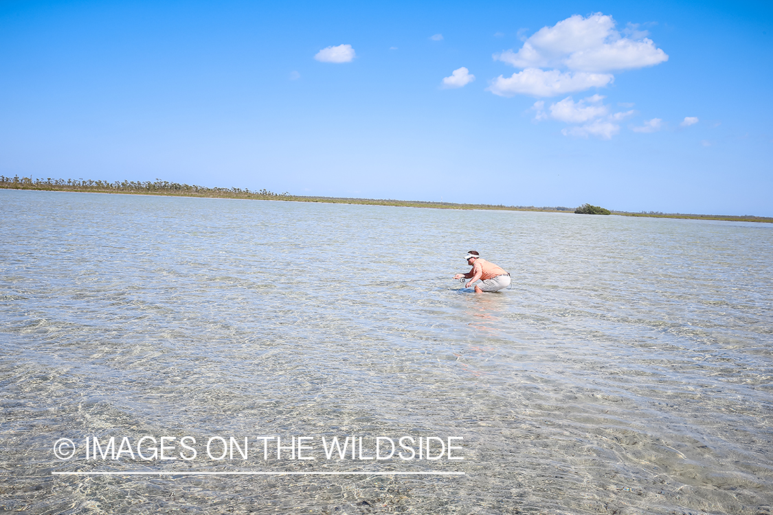 Flyfisherman fighting bonefish.