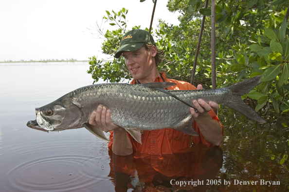 Flyfisherman w/tarpon 