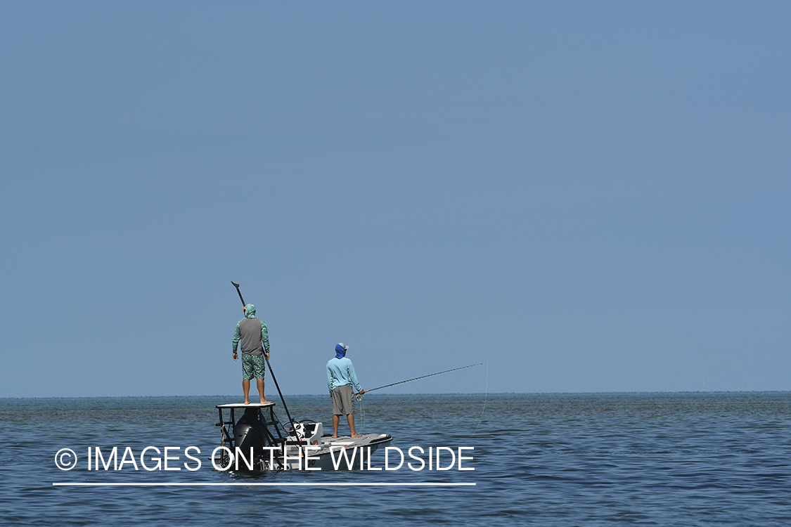 Flyfisherman and guide looking for fish from flats boat.