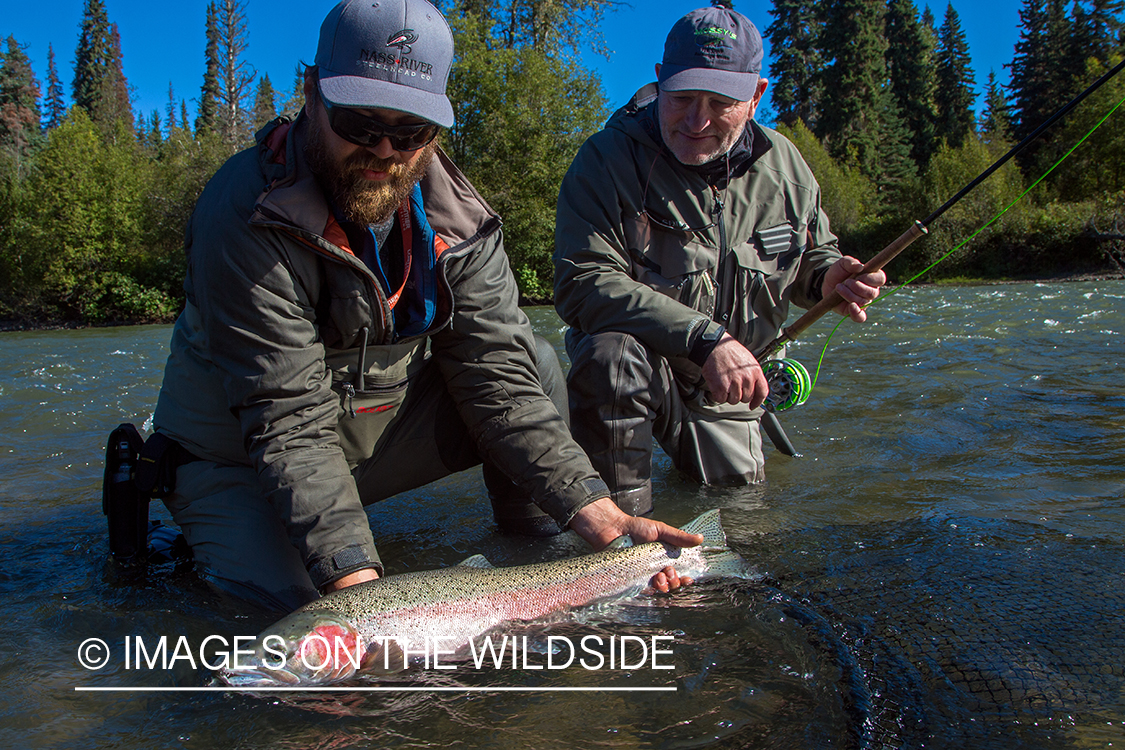 Flyfishing for steelhead on Nass River, British Columbia.