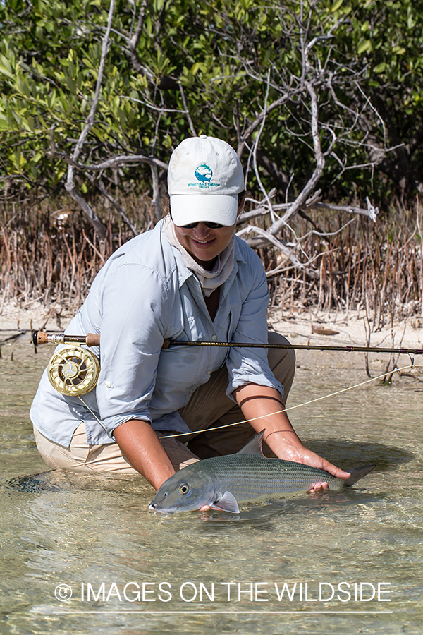 Flyfishing woman releasing bonefish.