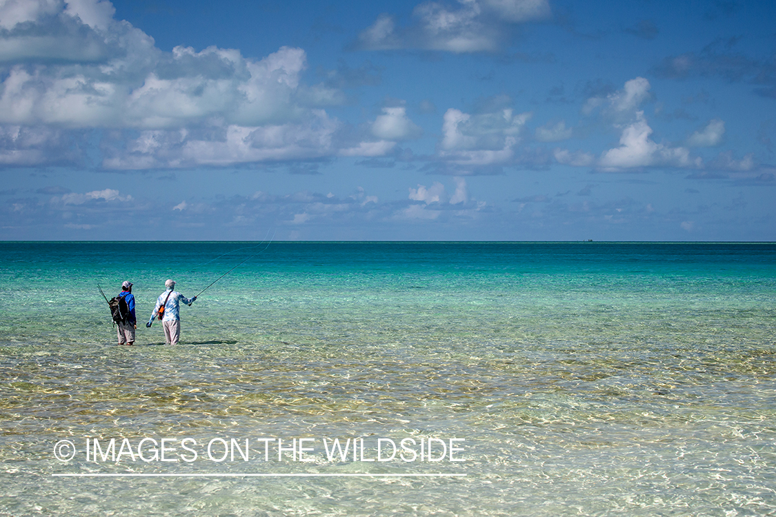 Flyfisherman on St. Brandon's Atoll flats, Indian Ocean.