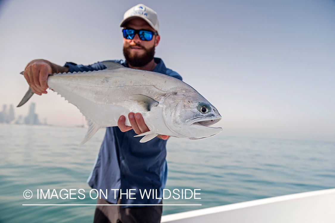 Flyfishing for queenfish off the coast of Dubai, UAE.