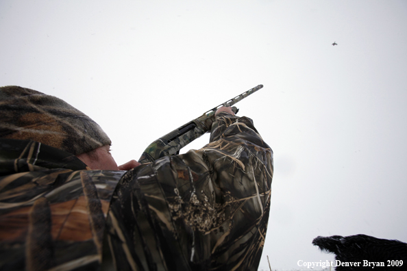 Waterfowl hunter aiming gun.