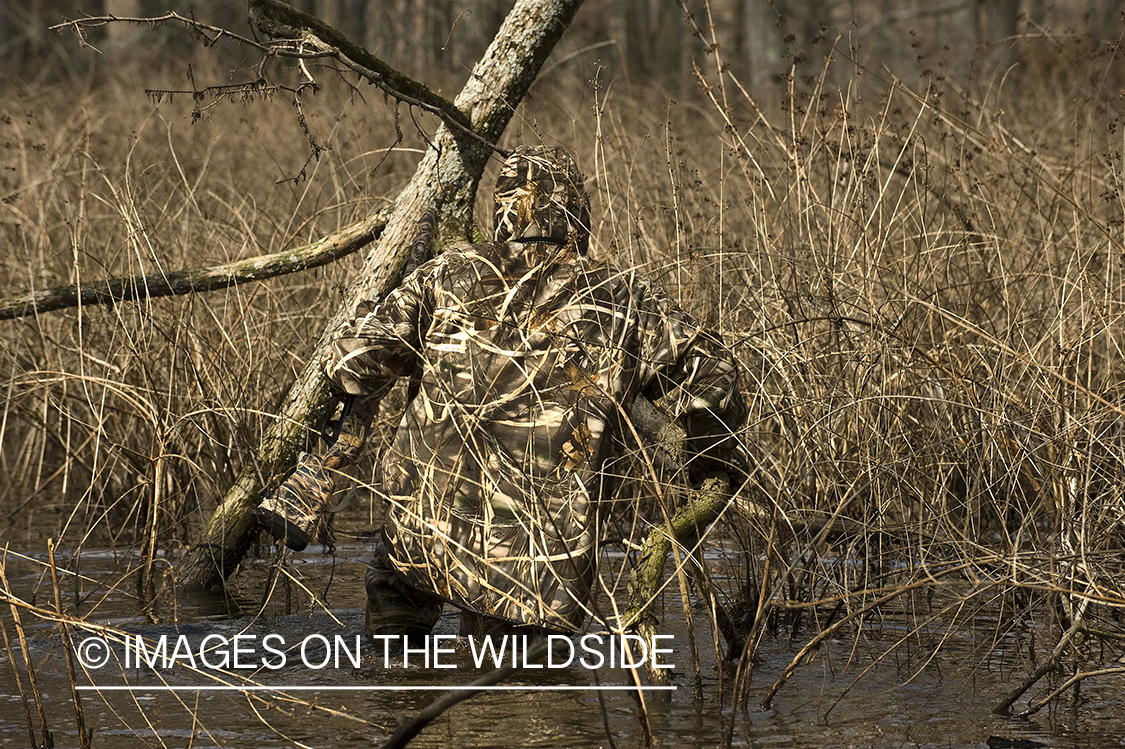 Waterfowl hunter camouflaged in wetlands.