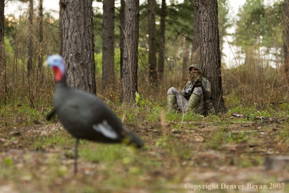 Turkey hunter in field