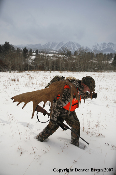 Moose hunter in field