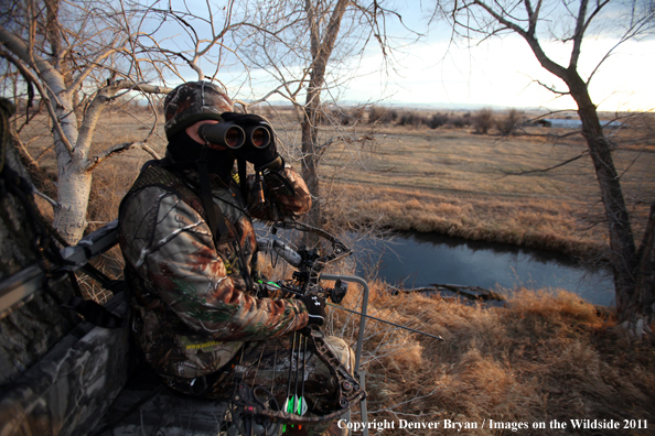 Bowhunter scouting from tree stand. 